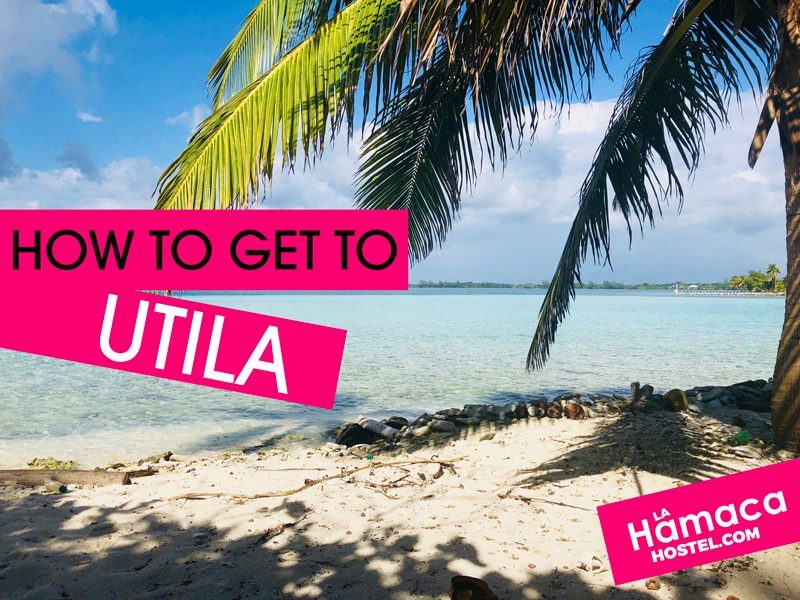 How to get to Utila - La Hamaca Hostel