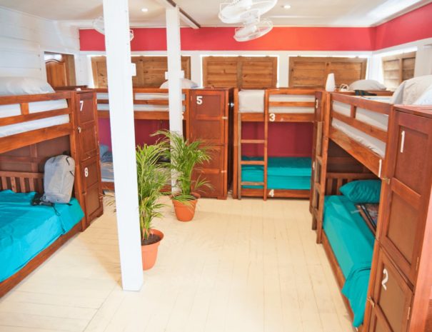 bunkbeds-in-fan-shared-mixed-dorm-utila-honduras